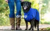A person is standing next to a dog wearing a blue coat. Produktbild-Vorschau