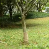 vidaXL Jutegewebe 0,25x100 m 100% Jute 200 g/m² Produktbild-Vorschau 2