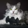 Catlabs Katzenspielzeug Fledermaus schwarz mit Produktbild-Vorschau 9