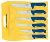 F. DICK Messer Set ErgoGrip Blockmesser Stechmesser Podgląd zdjęcia produktu 1