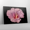 Bild auf Leinwand - Leinwandbild - 3 Teile - Hibiskus Blume Produktbild-Vorschau 4