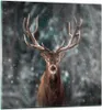 Bilder auf glas - Einteilig - Hirsch Hirsch Winter - Produktbild-Vorschau 1