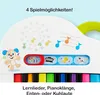 Fisher-Price Laugh & Learn GFK01, 0,5 rok / roky, Zvukové Náhľad obrázku produktu 17