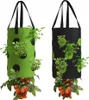2x tašky na pestovanie rastlín tašky na sadenie závesný Náhľad obrázku produktu 1