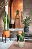 Mica Decorations Ascot Support pour plantes XL - L46 x l46 Voir les images du produit 6