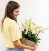 Orchideje Colibri | sada bílých rostlin v bavlněném košíku Náhled obrázku produktu 10