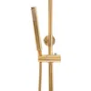 A close-up of a gold shower system, including a hand shower and a vertical bar. Náhled obrázku produktu