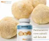 MycoMedica Hericium, 30% de polisacáridos, 90 cápsulas Vista previa de la imagen del producto 5