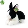 RAPPA Coniglio di peluche 25 cm ECO-FRIENDLY Anteprima dell’immagine prodotto 1