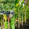 20m Electroculture Gardening Kupferdraht, 99,9% Reiner 16 Produktbild-Vorschau 3