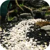 Eco Plant Black River 1kg - ghiaia nera 2-4mm Eco Plant Anteprima dell’immagine prodotto 5
