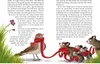 Der kleine Siebenschläfer: Eine Schnuffeldecke voller Anteprima dell’immagine prodotto 3
