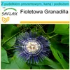 SAFLAX - Zestaw prezentowy - Granadilla - 40 Nasiona - Z Podgląd zdjęcia produktu 9