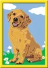 Kleiner Golden Retriever Ravensburger 28511 Produktbild-Vorschau 2