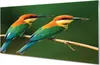 Glasbilder 140x70 Wandkunst Bunte Papageien auf einem Zweig Produktbild-Vorschau 1