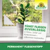 Neudorff Permanent FliegenStopp 2 St. Fliegen zuverlässig Produktbild-Vorschau 7