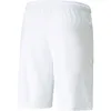 Puma Teamliga Shorts Kinder - Weiß Produktbild-Vorschau 15