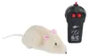 Van Manen RC Topolino giocattolo con telecomando, 15 cm - Anteprima dell’immagine prodotto 3