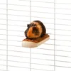 Karlie Jouets Karlie Wonderland, Pour rongeurs,17 X 8 X 4cm Voir les images du produit 5