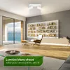 Briloner Isil A Lampe de plafond à LED, CEE A source Voir les images du produit 3