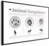 Posterpapier Poster - Paw Prints 30x21 cm Tiere Produktbild-Vorschau 1