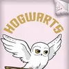 Oboustranné povlečení 140x200 z mikrovlákna Harry Potter Náhled obrázku produktu 4