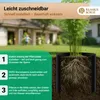 An illustration showing how to install a root barrier around a plant, with a house and people in the background. Produktbild-Vorschau