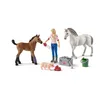 Schleich Farm World Arztbesuch bei Stute und Fohlen 42486 Produktbild-Vorschau 2