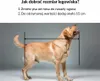 A dog is shown with measurement lines indicating how to measure it for a dog bed. Náhľad obrázku produktu