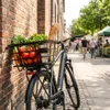Atran System Korb velo Epic M 23ltr 40x20x29cm, sw, 23ltr, Produktbild-Vorschau 3