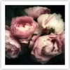 Poster - Poster ohne Rahmen - Pfingstrose Blume - 60x60 cm Produktbild-Vorschau 1