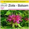 SAFLAX - Zestaw do uprawy - Zioła - Balsam - 20 Nasiona - Z Podgląd zdjęcia produktu 10