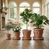 Teramico Terracotta Topf "Conca Limoni" 20cm optional Produktbild-Vorschau 6
