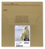 Original Epson Toner C13T26164511 Mehrfarbig (1 Stück) Produktbild-Vorschau 1