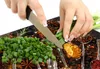 Krycí deska varné desky 90x52 Keramický kryt varné desky Náhled obrázku produktu 8