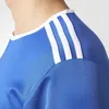 Adidas Entrada 18 Trikot Kurzarm Herren - Royal / Weiß | Produktbild-Vorschau 8