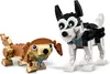 LEGO 31137 Creator 3in1 Niedliche Hunde Set mit Dackel-, Produktbild-Vorschau 19