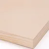2x HOLZ Malgrund 50x50 cm | Birkenholz Leinwand, bemalbarer Produktbild-Vorschau 6