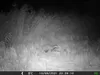 Outdoor Wildlife Hunting Trail und Wildkamera OXE Gepard Produktbild-Vorschau 33