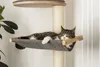 Kerbl Arbre à chat mural Dolomit XL Tofana, 185 x (115) cm, Voir les images du produit 11