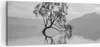 Bild auf Leinwand - Leinwandbild - Einteilig - Baum Produktbild-Vorschau 1