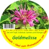Artikelbild 2 von 'Goldmelisse' aus der Kategorie Anzuchtsets Produktbild-Vorschau