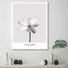 Leinwandbild weiße lotosblume 60x90 cm Feeby grau wandbild Produktbild-Vorschau 2