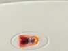 CHERRY MSM WheelMouse optical M-5400-0 Corded weiß/grau Produktbild-Vorschau 13