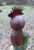 A metal owl sculpture with a crown or comb on its head is mounted on a wooden post in an outdoor setting. Produktbild-Vorschau