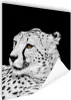 MuchoWow® Poster Leopard - Weiß - Schwarz 90x120 cm - Produktbild-Vorschau 1