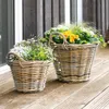 Frank Flechtwaren Pflanzkorb Rattan klein 107906 Weidenkorb Produktbild-Vorschau 6