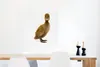 MuchoWow® Poster Baby-Ente schaut in die Kamera 60x80 cm - Produktbild-Vorschau 5