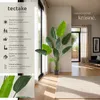 Umělý rajský pták Tropic, realistický - 160 cm Náhled obrázku produktu 3