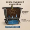 Bac à plantes XXL 60 x 60 avec réservoir d'eau et soucoupe Voir les images du produit 3
